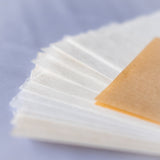 手漉き和紙 見本帖